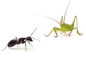 The Ant and the Grasshopper