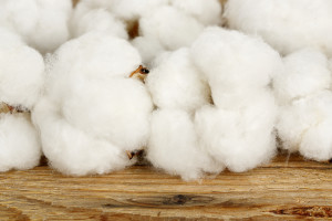 cotton balls