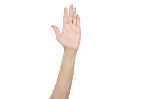 Hand raising for vote isolated on white background with clipping path