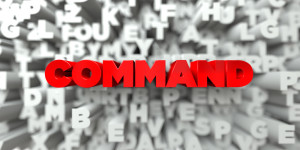 COMMAND -   3D stock image of Red text on white background
